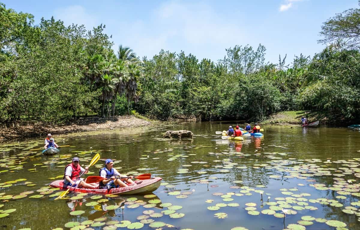 Kayaking trip – what is worth remembering?