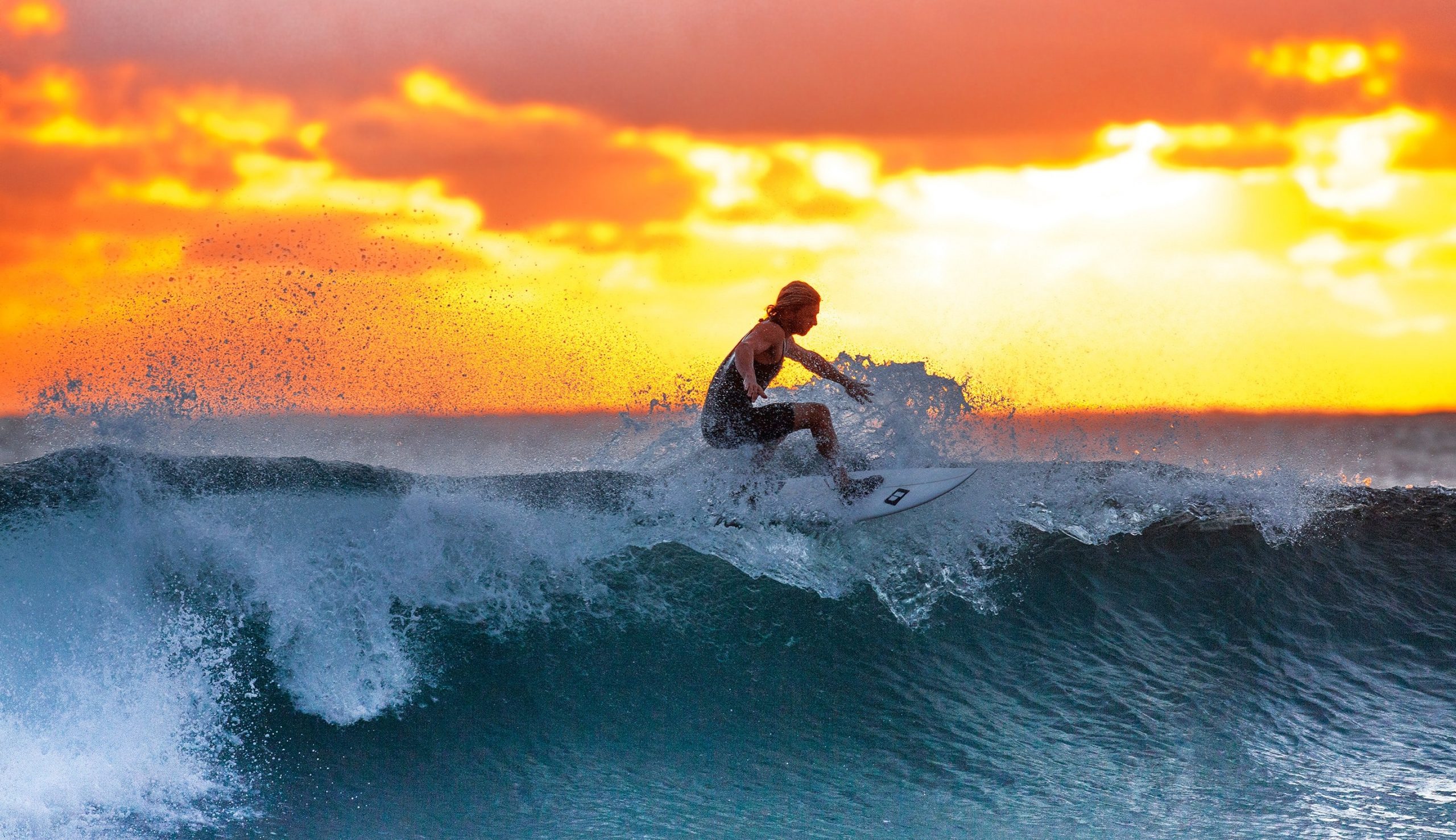 How do professional surfers eat?